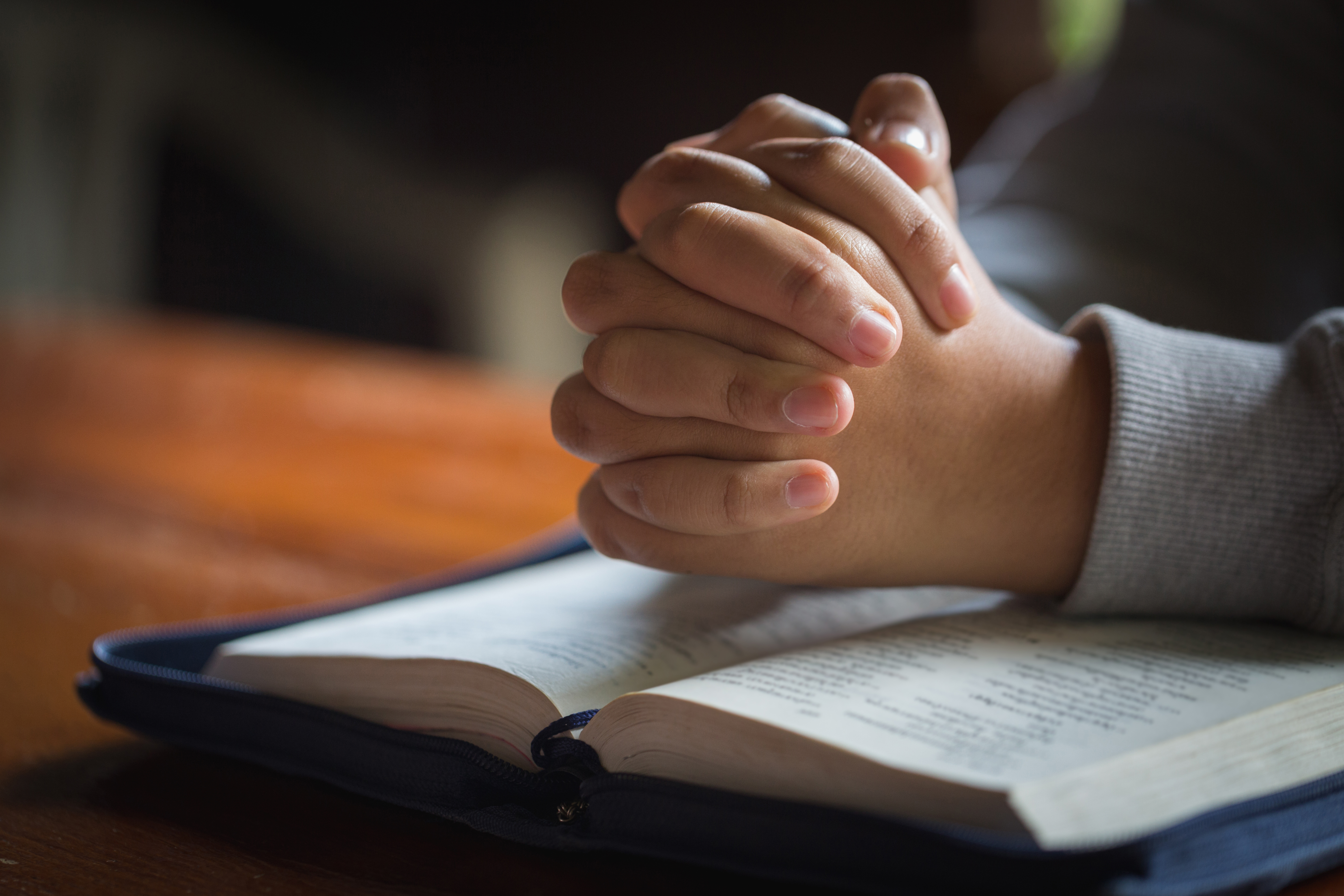 disclose bible discovery disclose bible discovery